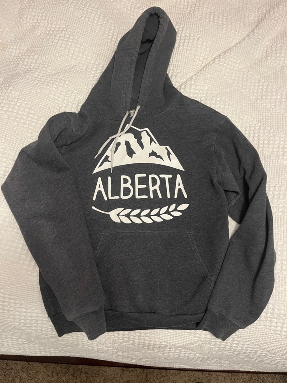 American Apparel Charcoal Gray Alberta Graphic Hoodie